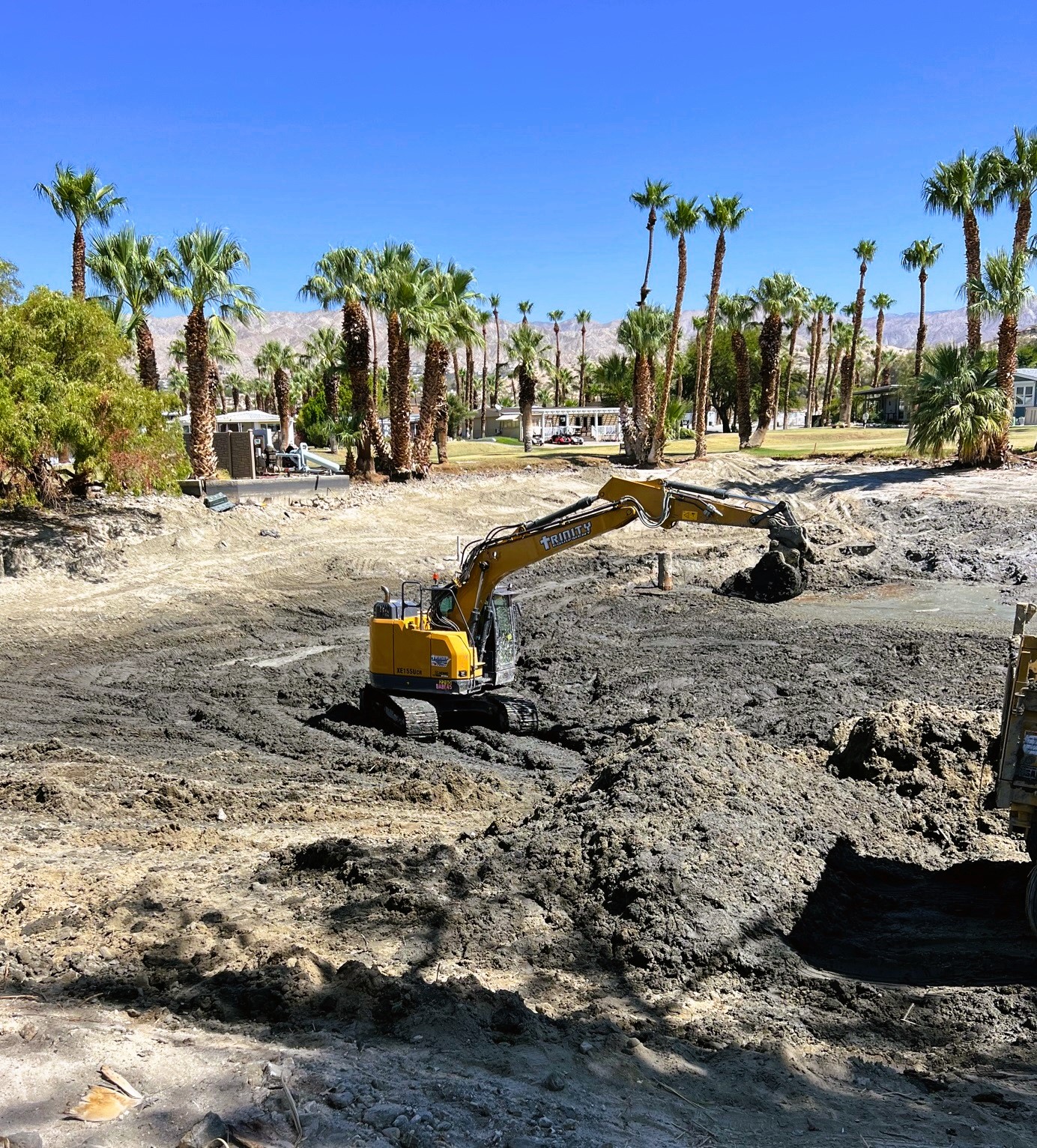 Landscape Renovations