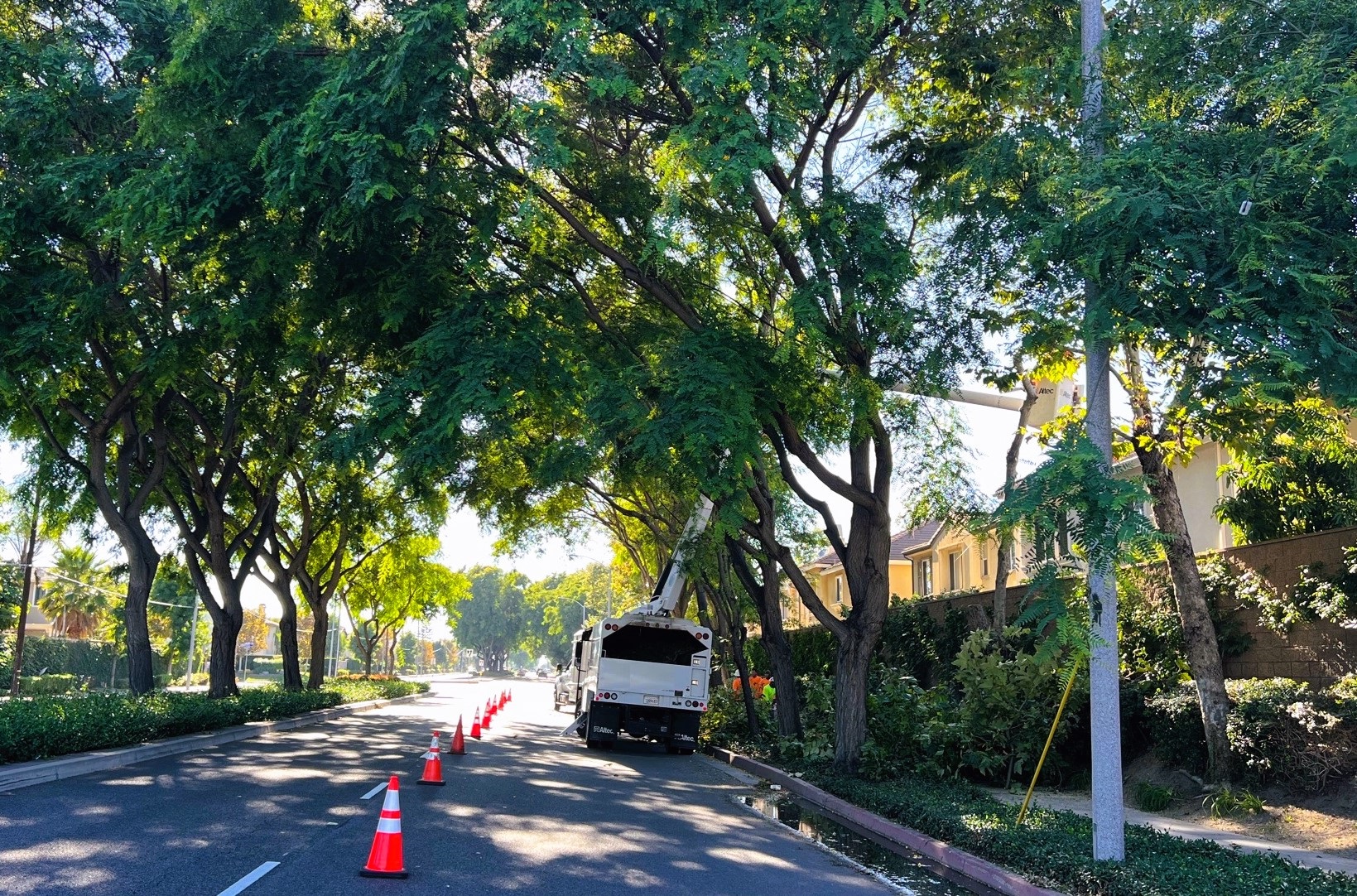landscape-company-santa-ana-ca