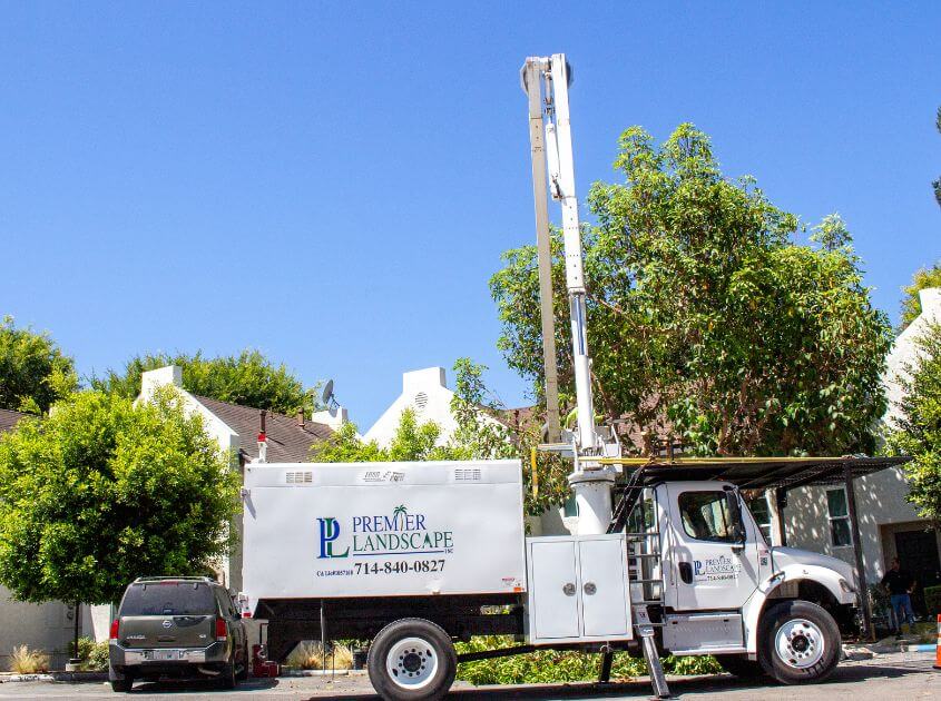 Licensed Commercial Landscaping Company